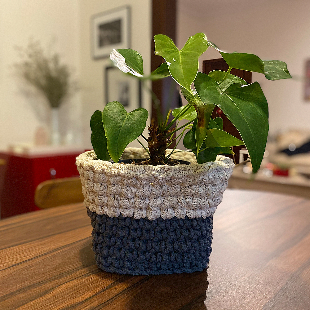 cesta de crochê para planta