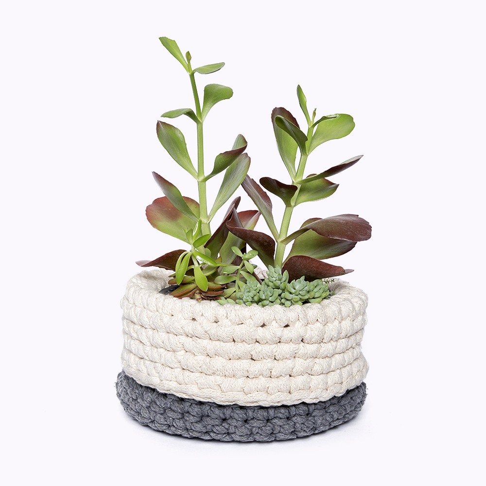 cesta para planta em feita em croche anne galante