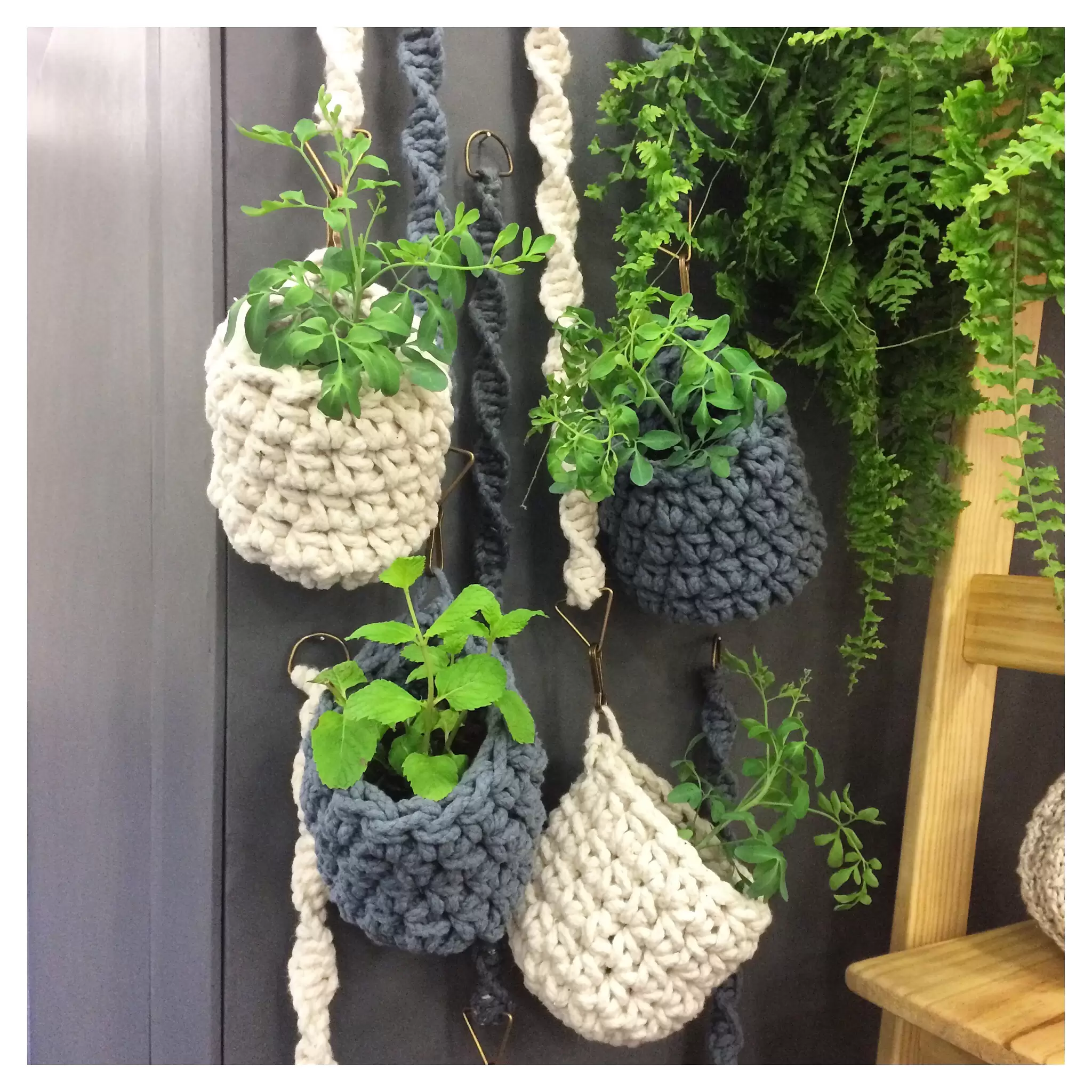 Planta como inspiração